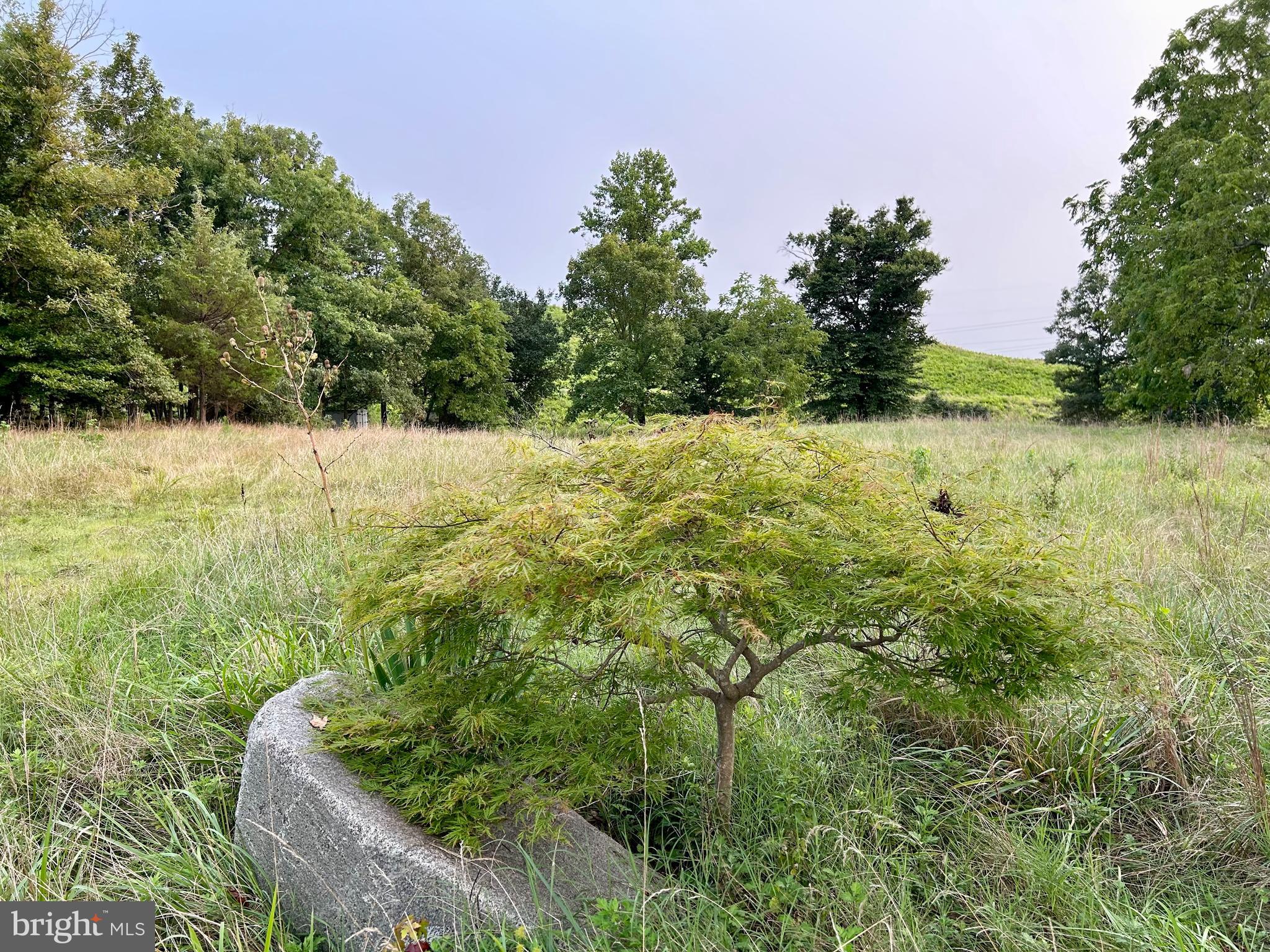 11101 Cross Rd Trail Brandywine, MD 20613 - Photo 1 of 9 Gallery Image 1