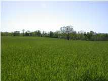 0 Buck Creek Road Simpsonville, KY 40067 - Photo 1 of 1 Primary Photo
