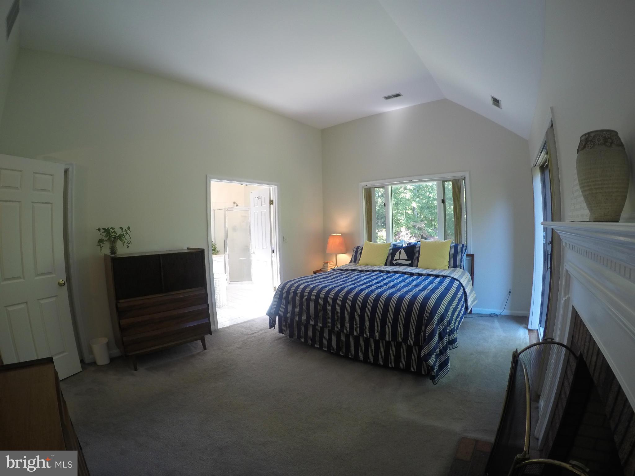 570 Laurel Road Riva, MD 21140 - Photo 21 of 30 Owners Bedroom With Wood Burning Fireplace