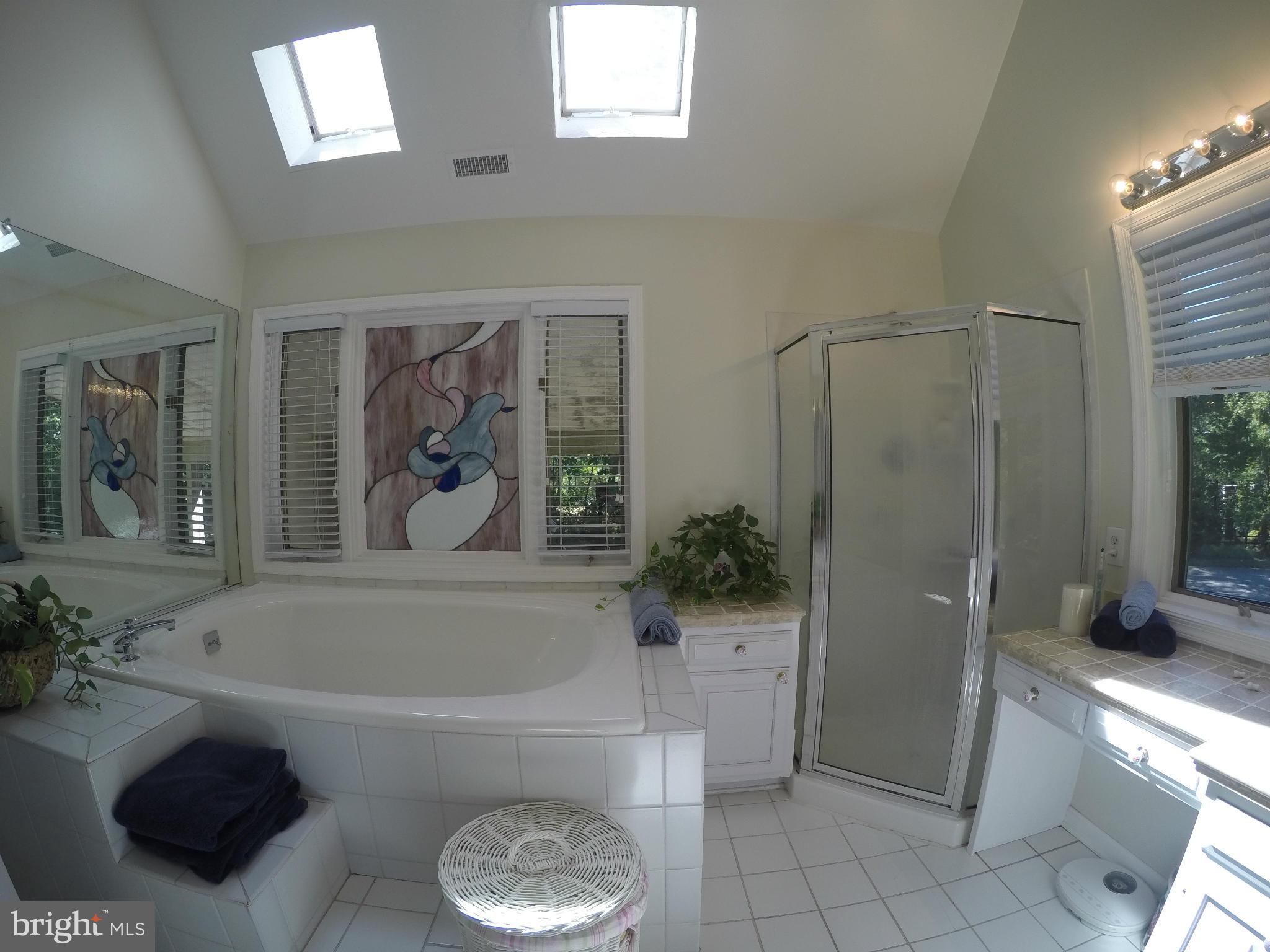 570 Laurel Road Riva, MD 21140 - Photo 22 of 30 Owners Bathroom
