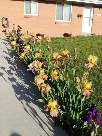 a picture of a book and a bench
