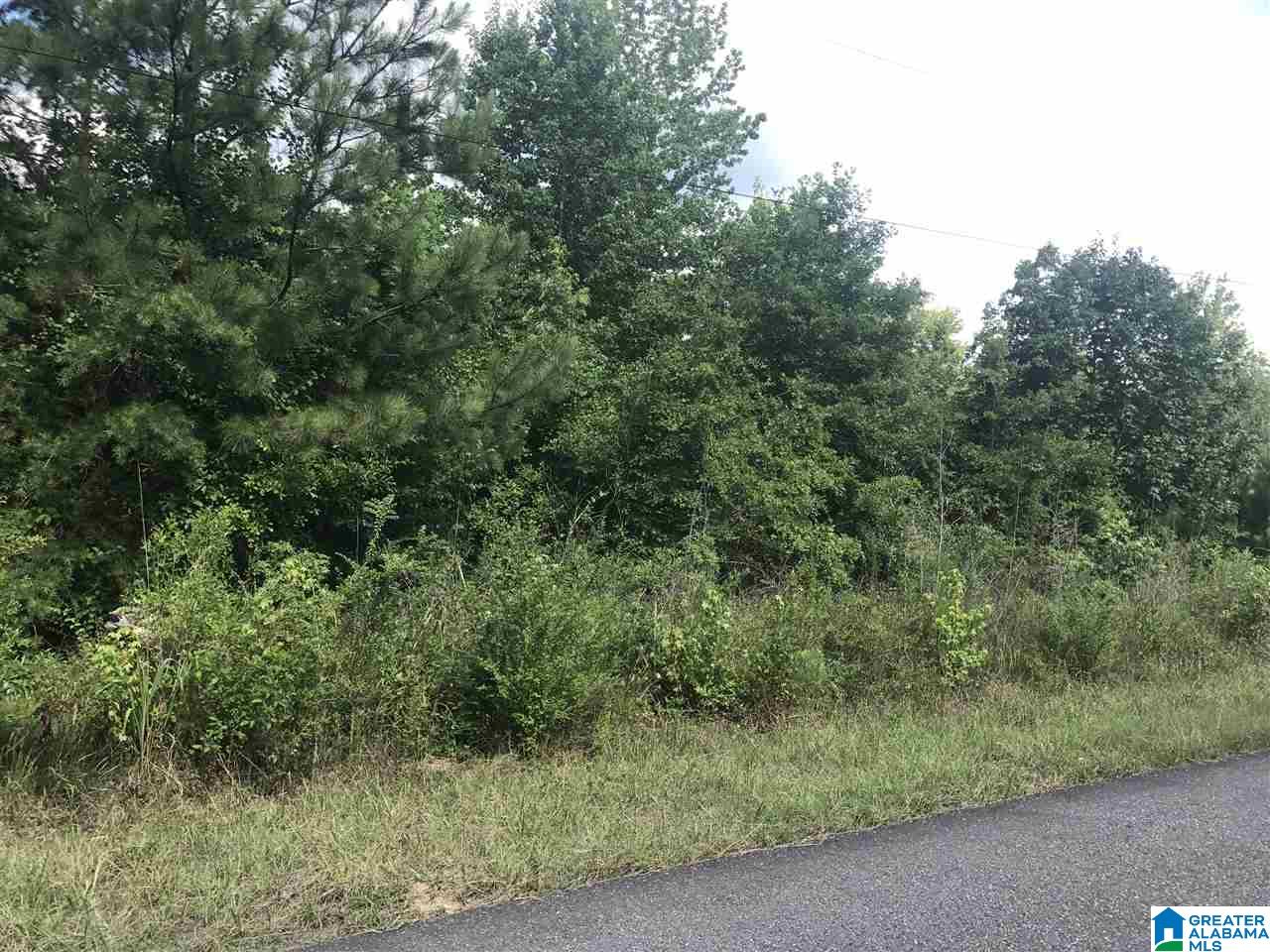 Lot 5 Mill Creek Road, Unit 5 Cordova, AL 35550 - Photo 1 of 6