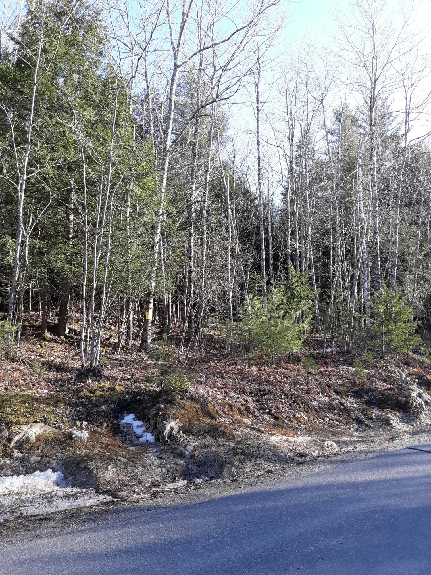 Lot 4 Maple Ridge Road Vassalboro, ME 04989 - Photo 3 of 5 20200321_170934_resized_1