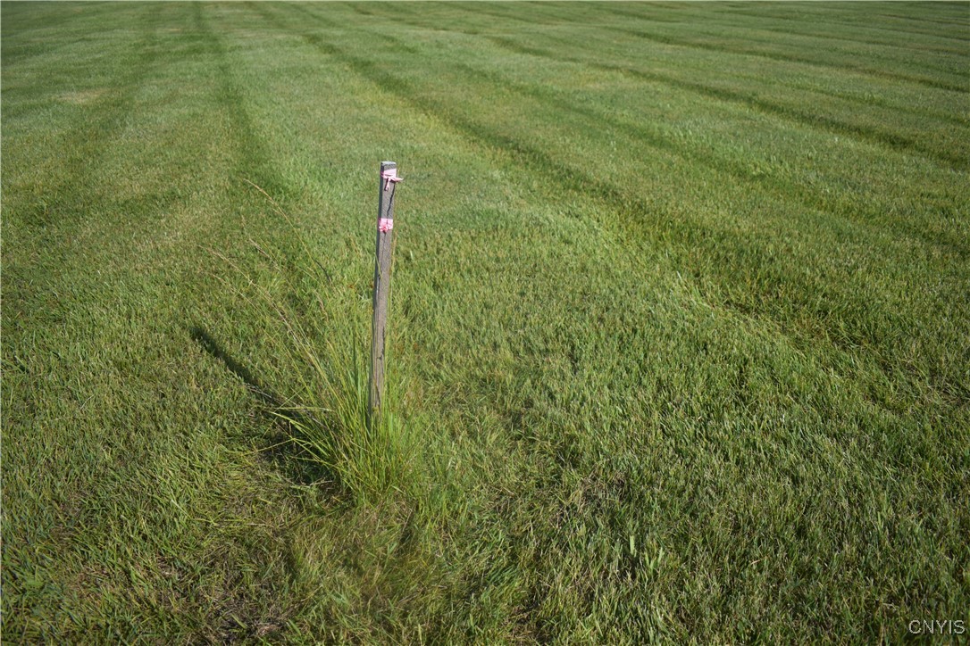 13428 Harborview Estates Road West Henderson Harbor, NY 13651 - Photo 16 of 26 right front lot maker looking at lot