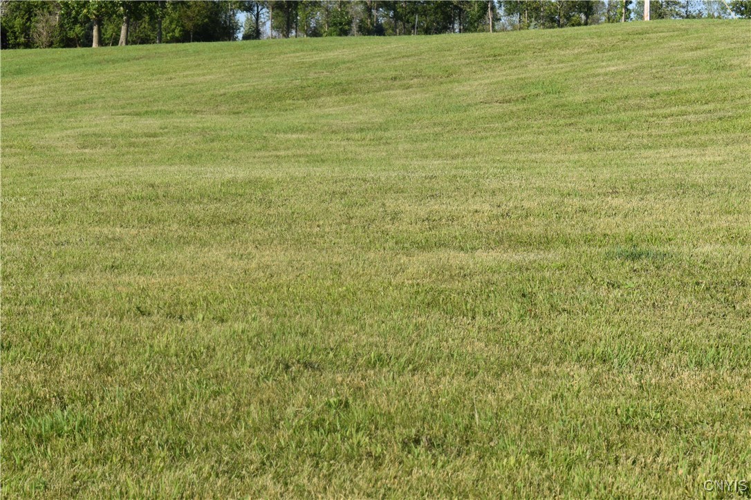 13428 Harborview Estates Road West Henderson Harbor, NY 13651 - Photo 23 of 26 slope