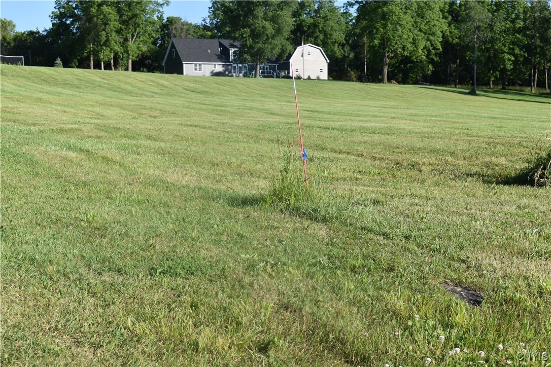 13428 Harborview Estates Road West Henderson Harbor, NY 13651 - Photo 25 of 27 from left lot darker