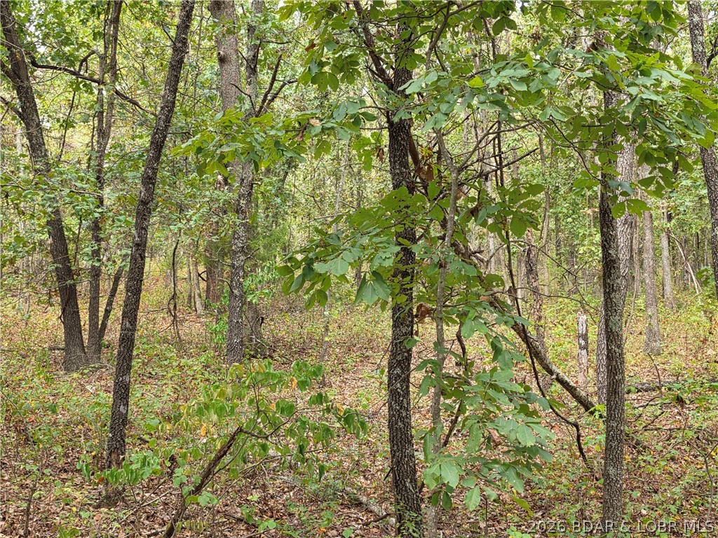 Forbes Road, Unit 2556 & 2557 Edwards, MO 65326 - Photo 26 of 26 Gallery Image 26