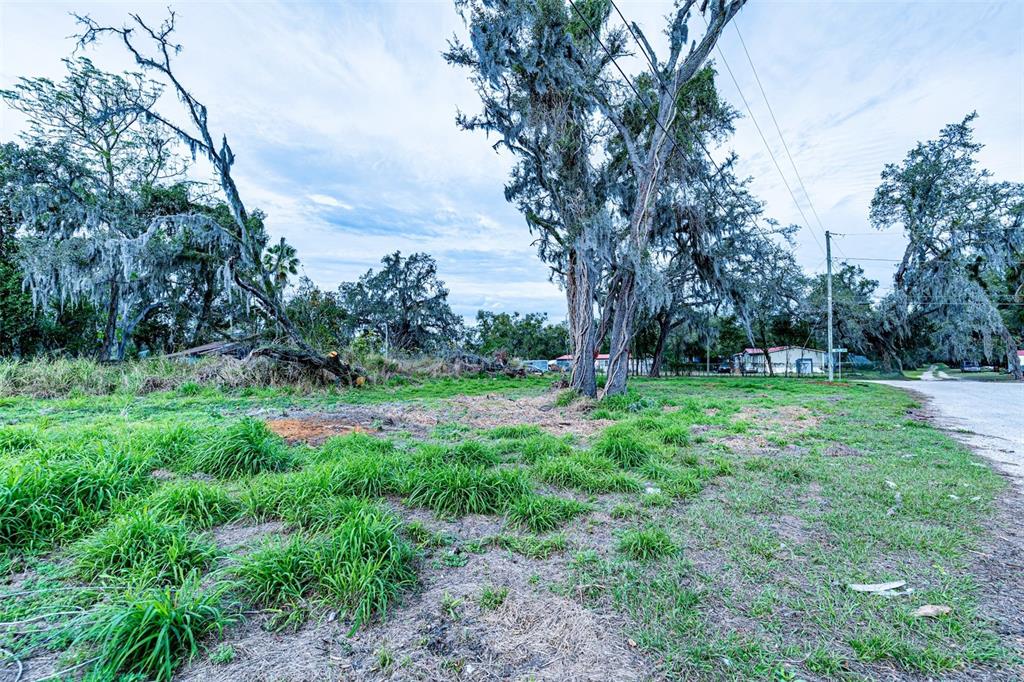 9323 Ripley Road, Unit B Thonotosassa, FL 33592 - Photo 4 of 7 a view of garden with trees