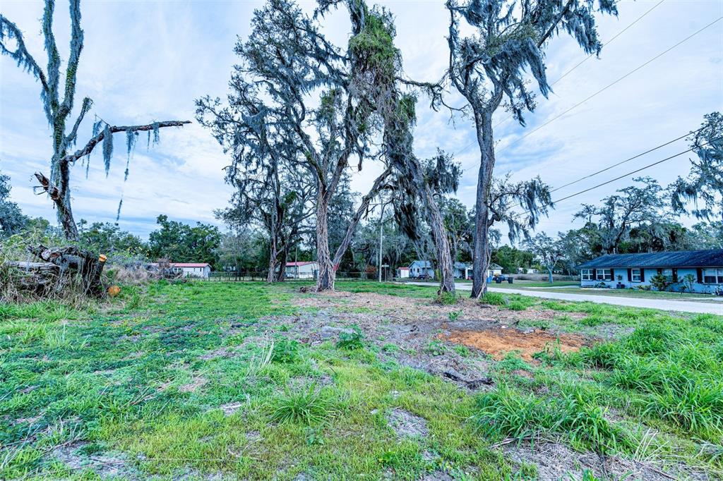 9323 Ripley Road, Unit B Thonotosassa, FL 33592 - Photo 5 of 7 a view of a park with large trees