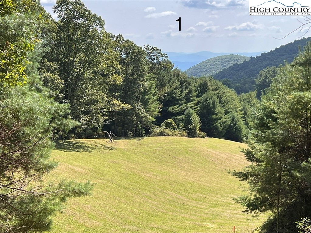 Lot 1 Wildcat Road Deep Gap, NC 28618 - Photo 7 of 8 a view of ocean with mountain