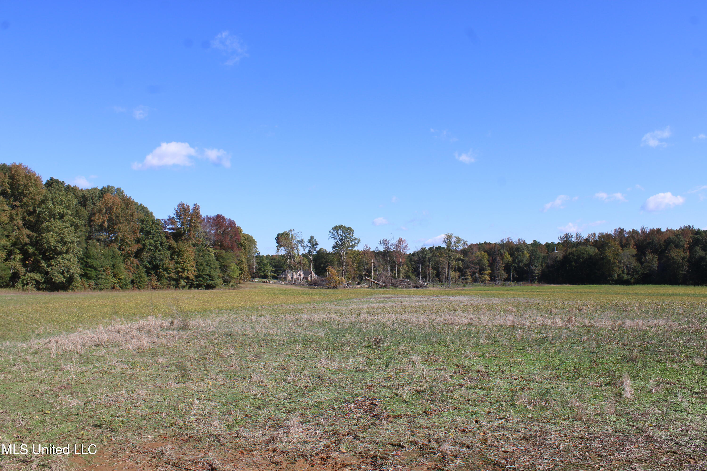 14901 Desoto Road Olive Branch, MS 38654 - Photo 18 of 27 IMG_6891