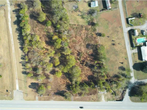 a view of a forest with a forest