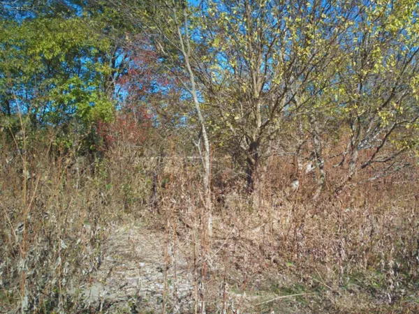 a view of a sign under a small yard