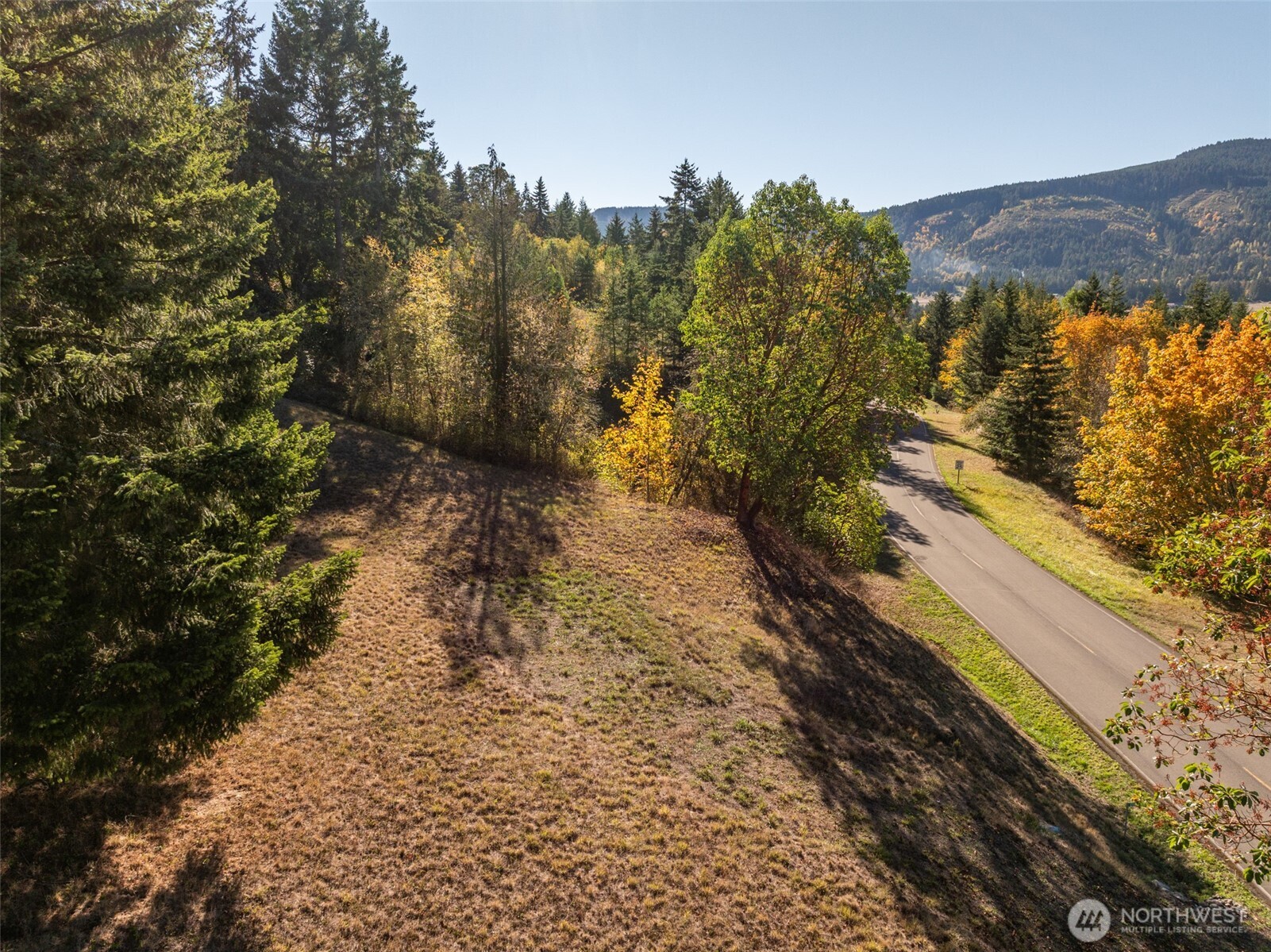 1051 Fox Hollow Road Sequim, WA 98382 - Photo 16 of 39 a view of a pathway with a yard