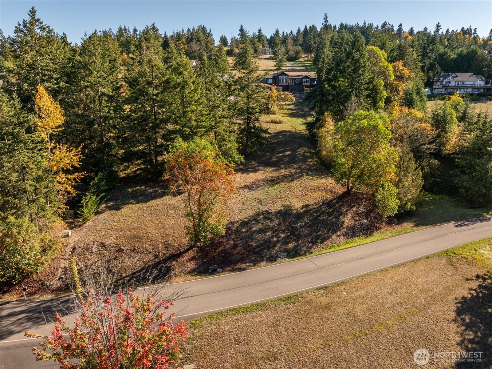 1051 Fox Hollow Road Sequim, WA 98382 - Photo 18 of 39 a view of a yard with trees