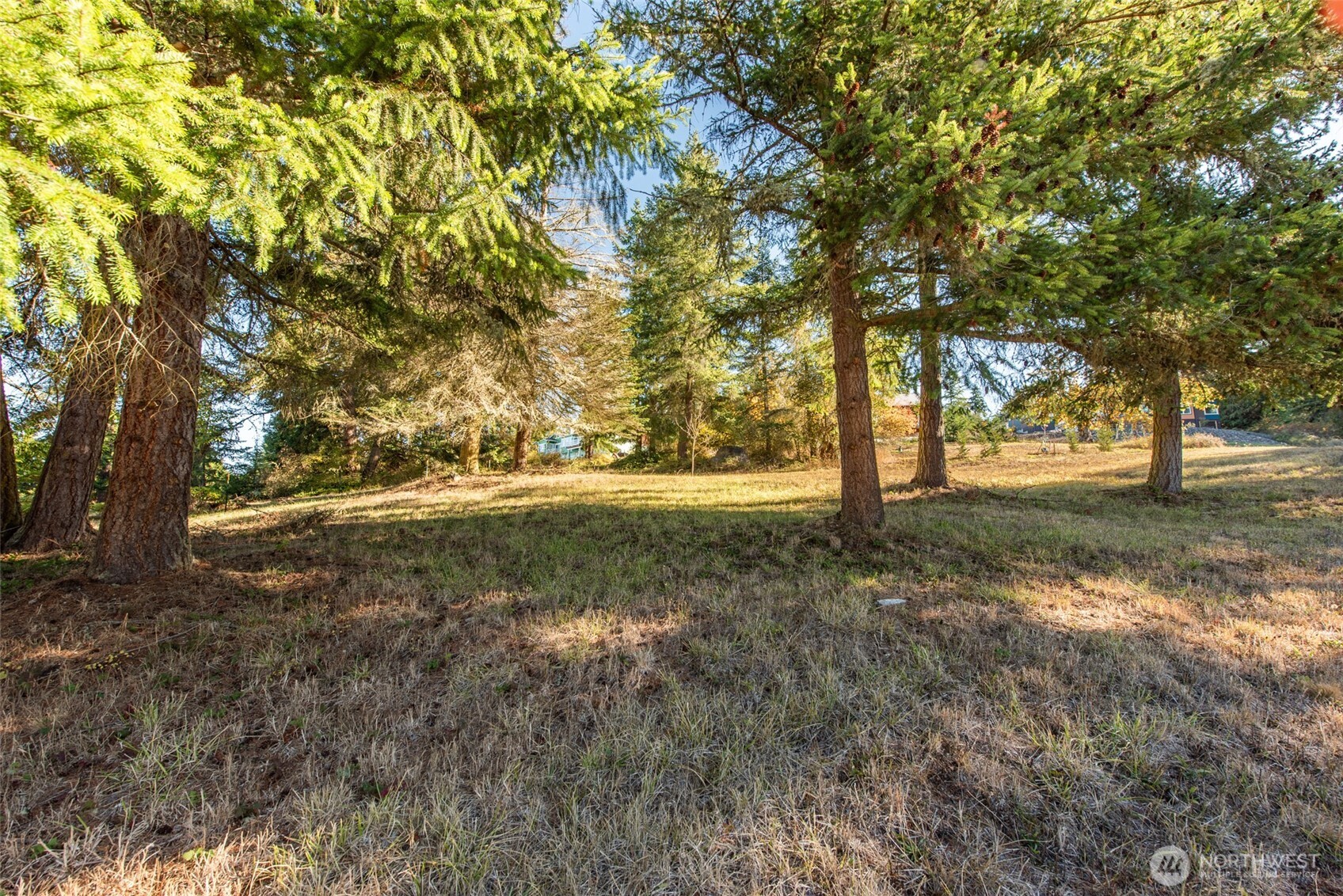 1051 Fox Hollow Road Sequim, WA 98382 - Photo 20 of 39 a view of outdoor space with deck and trees
