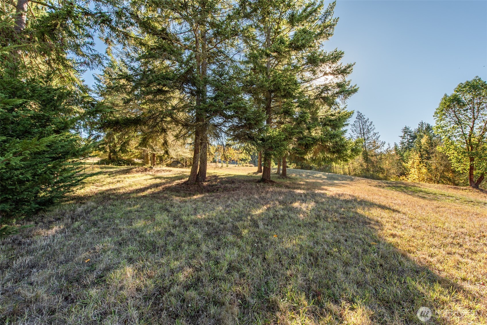 1051 Fox Hollow Road Sequim, WA 98382 - Photo 21 of 39 a view of outdoor space and yard