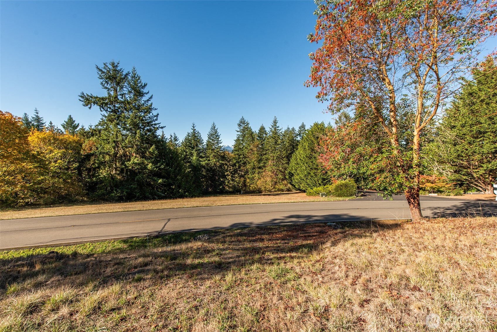 1051 Fox Hollow Road Sequim, WA 98382 - Photo 22 of 39 a view of a yard with trees