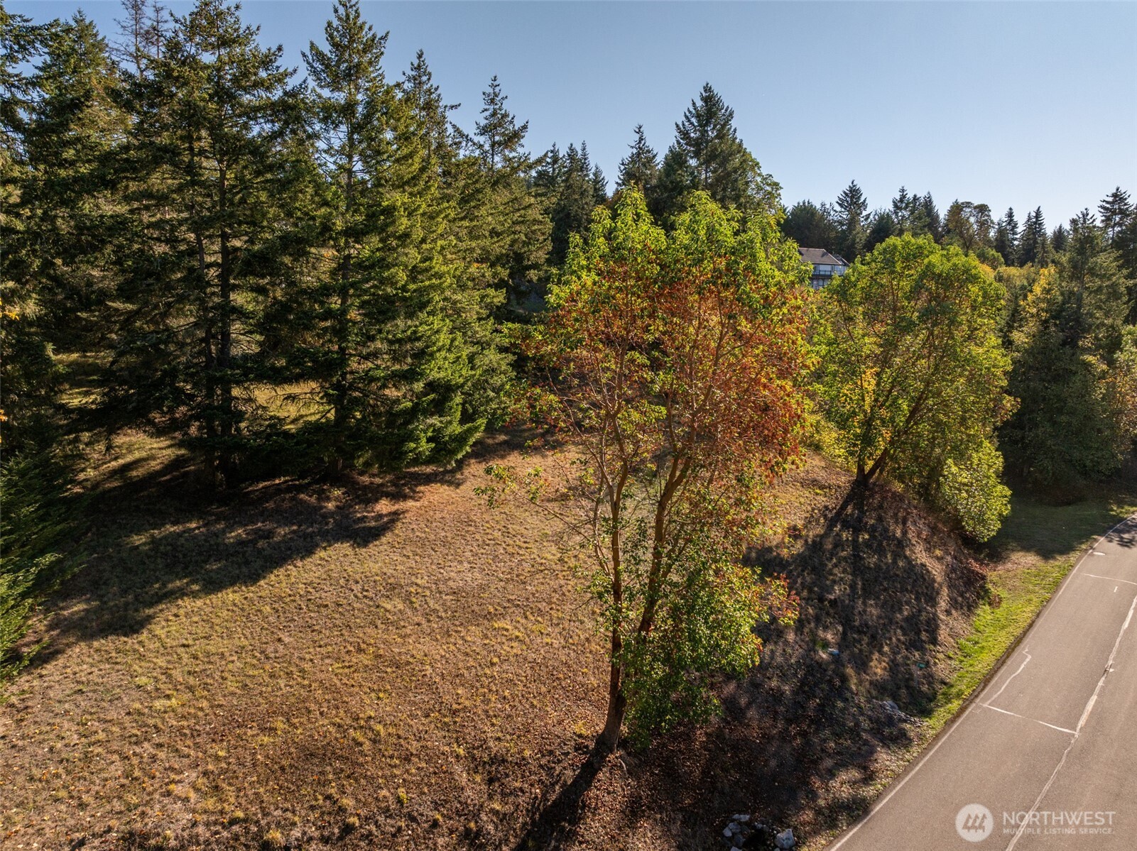 1051 Fox Hollow Road Sequim, WA 98382 - Photo 24 of 40 a view of a tree