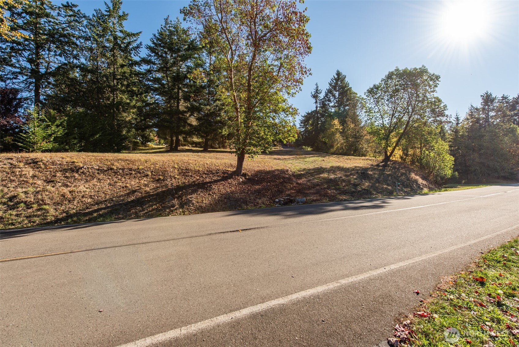 1051 Fox Hollow Road Sequim, WA 98382 - Photo 26 of 40 a view of a yard with tree
