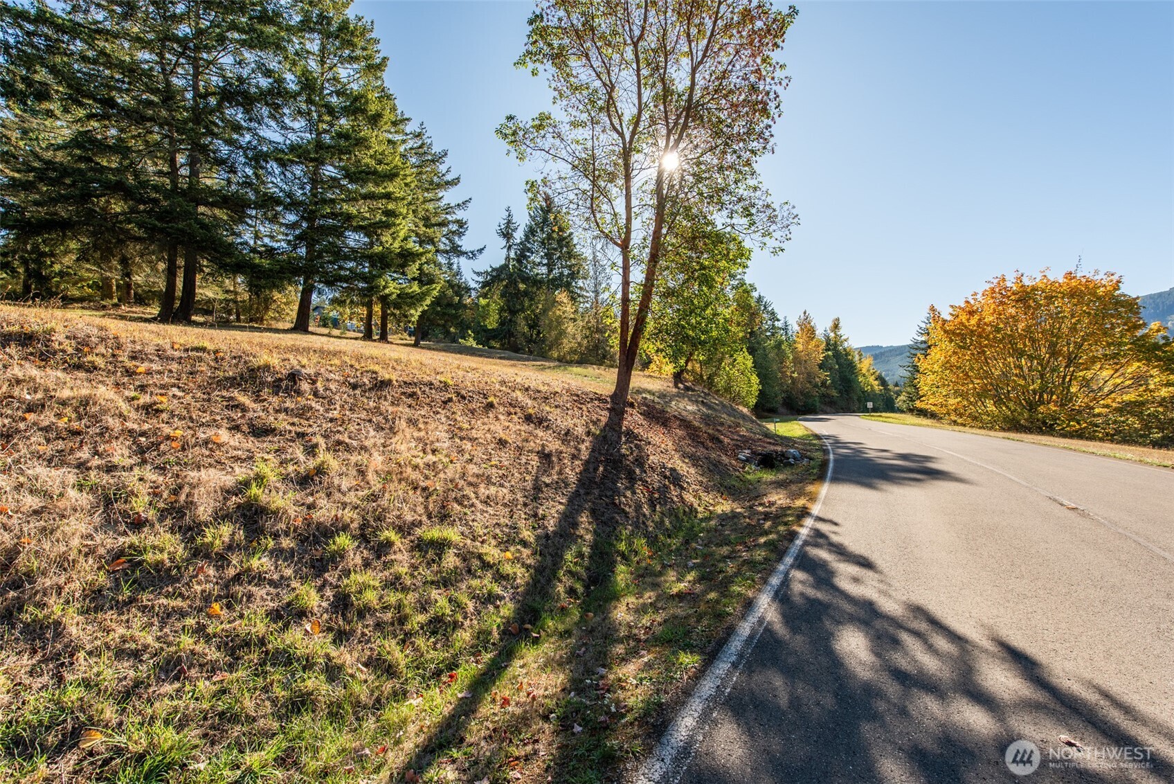 1051 Fox Hollow Road Sequim, WA 98382 - Photo 27 of 40 a view of a yard with plants and trees
