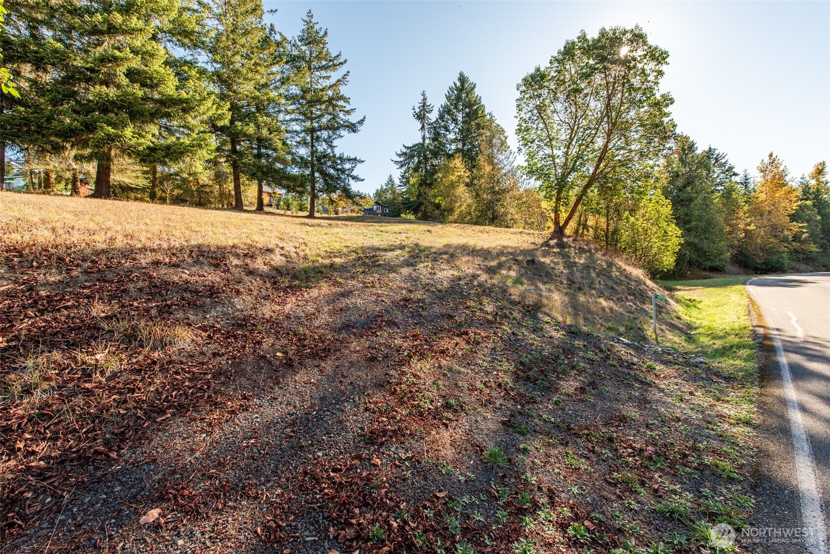 1051 Fox Hollow Road Sequim, WA 98382 - Photo 28 of 40 a view of yard yard