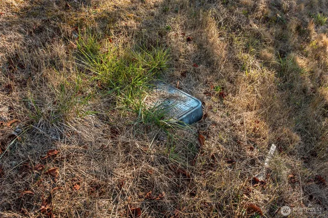 a view of a yard and basketball court