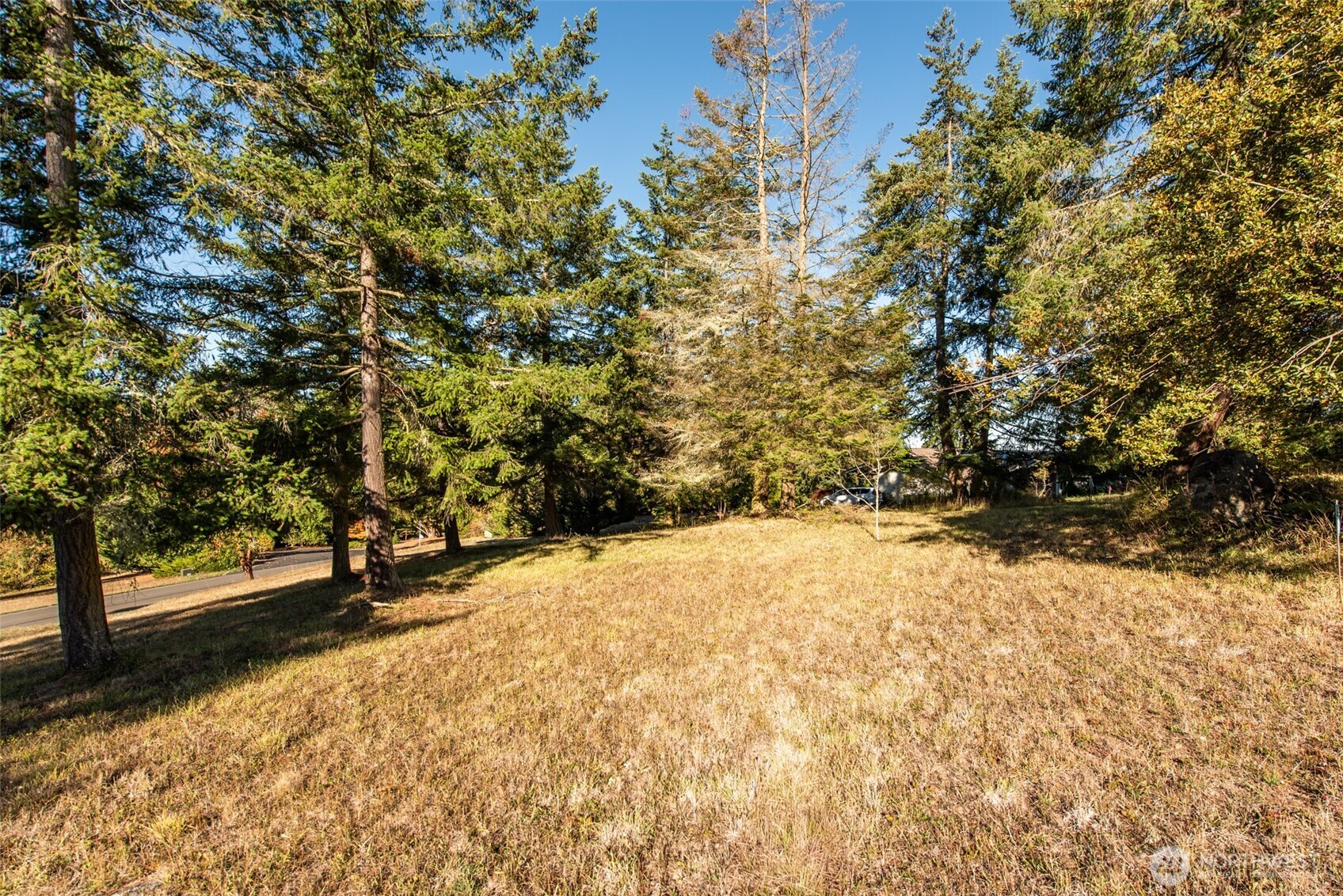 1051 Fox Hollow Road Sequim, WA 98382 - Photo 32 of 39 a view of empty space with wooden fence