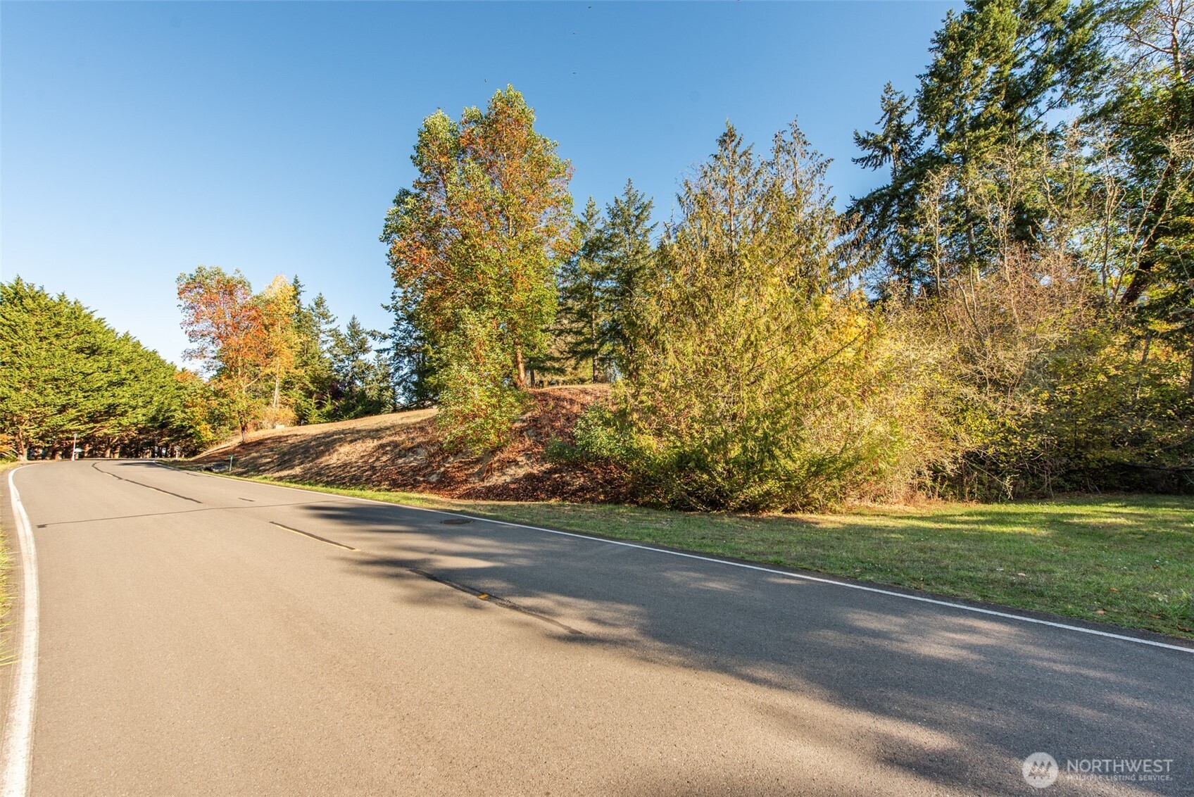 1051 Fox Hollow Road Sequim, WA 98382 - Photo 32 of 40 a view of a yard and basketball court