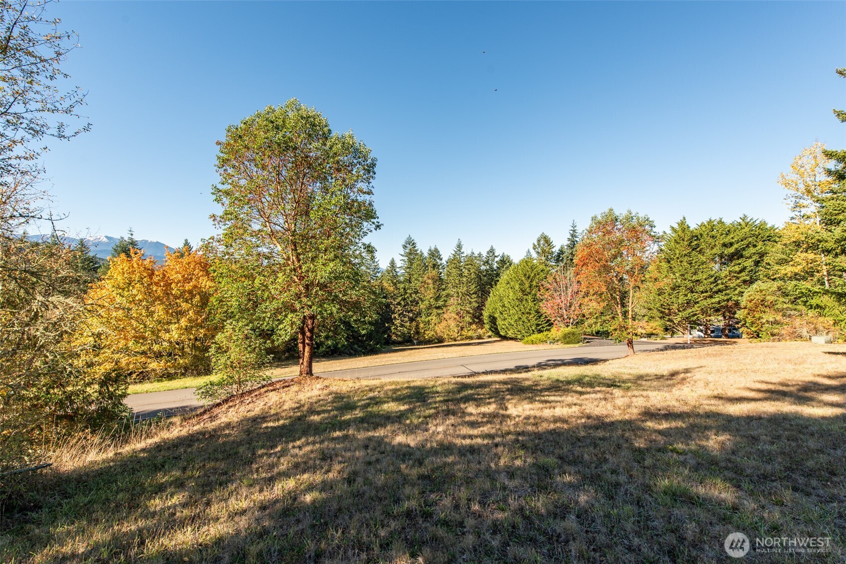 1051 Fox Hollow Road Sequim, WA 98382 - Photo 33 of 40 a view of dirt field with large trees