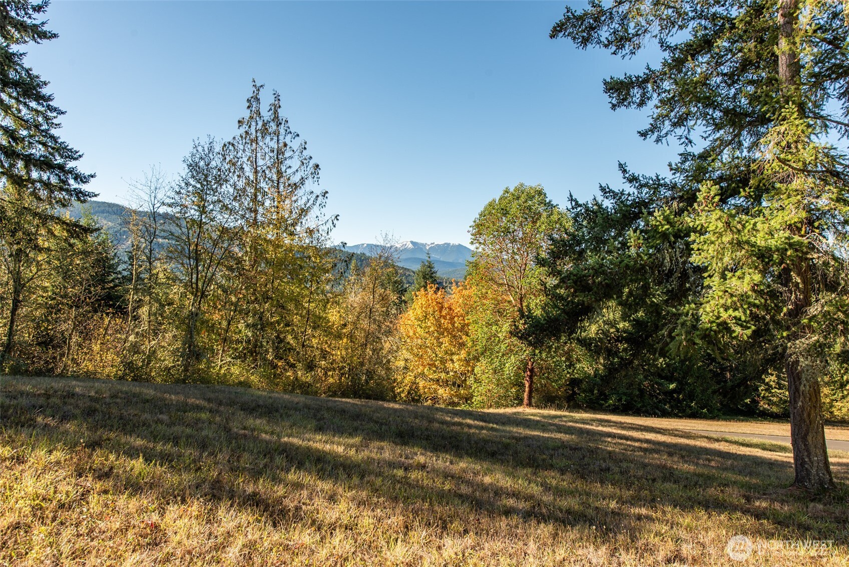 1051 Fox Hollow Road Sequim, WA 98382 - Photo 33 of 39 a view of backyard with green space