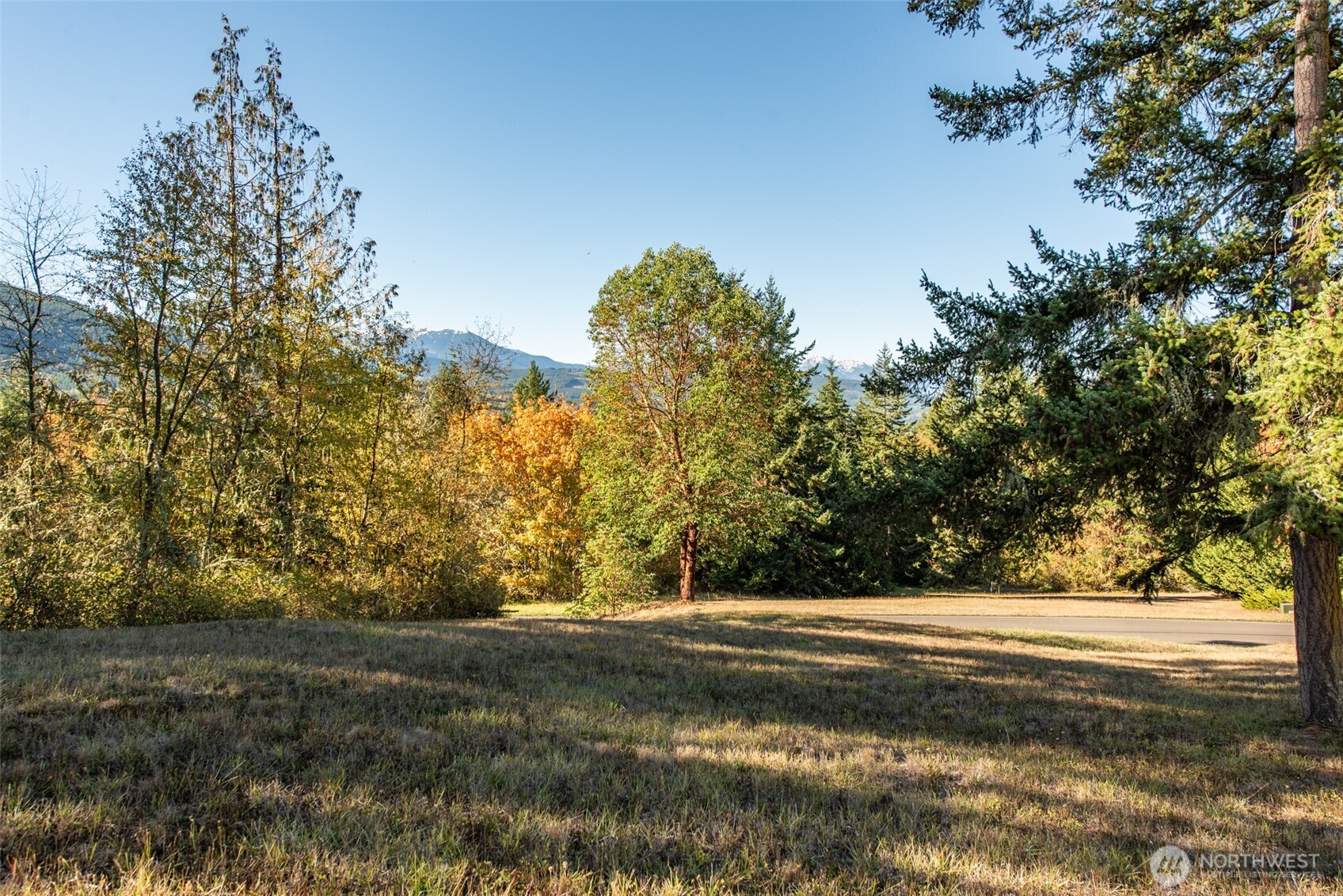 1051 Fox Hollow Road Sequim, WA 98382 - Photo 34 of 40 a view of backyard of green space