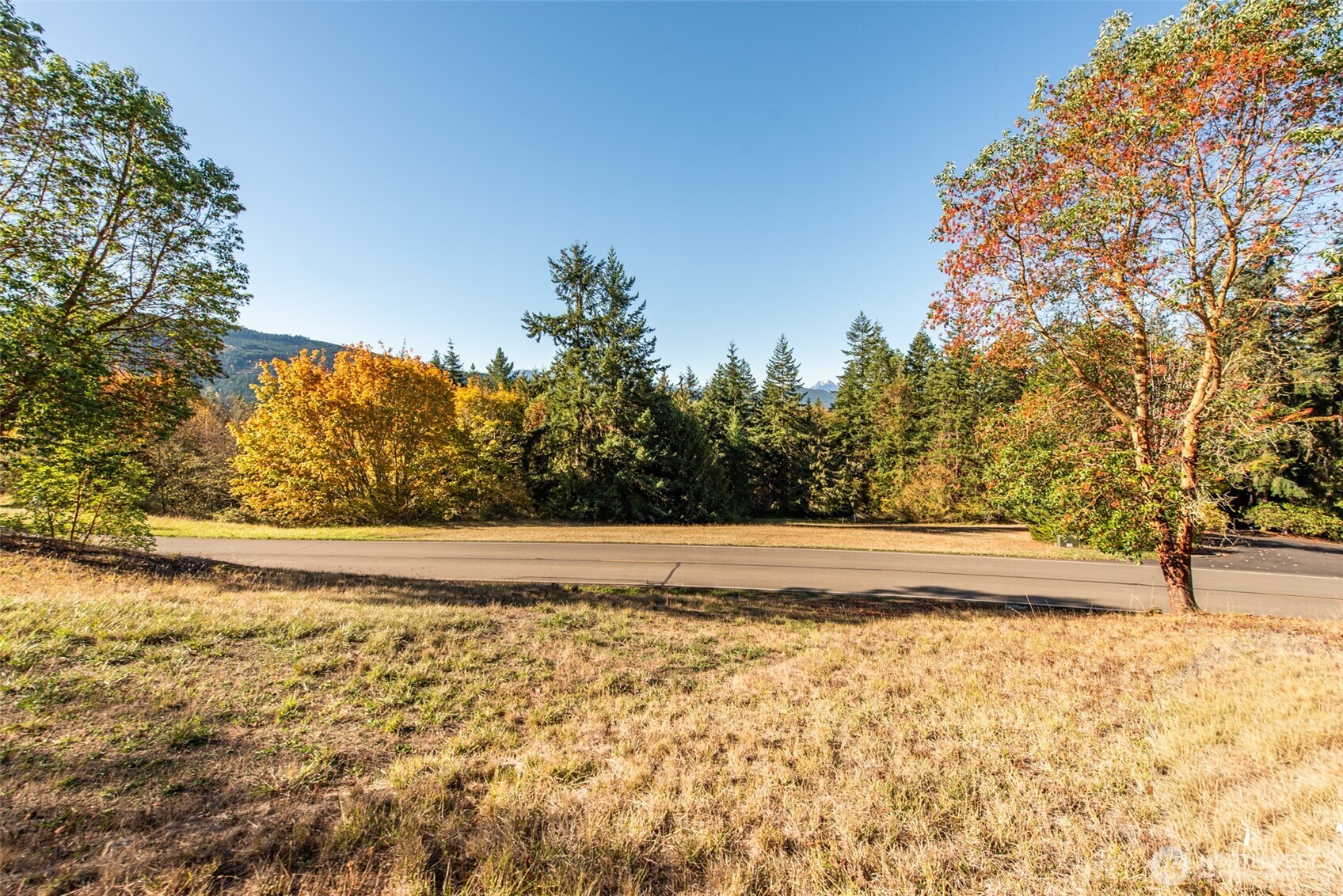 1051 Fox Hollow Road Sequim, WA 98382 - Photo 35 of 39