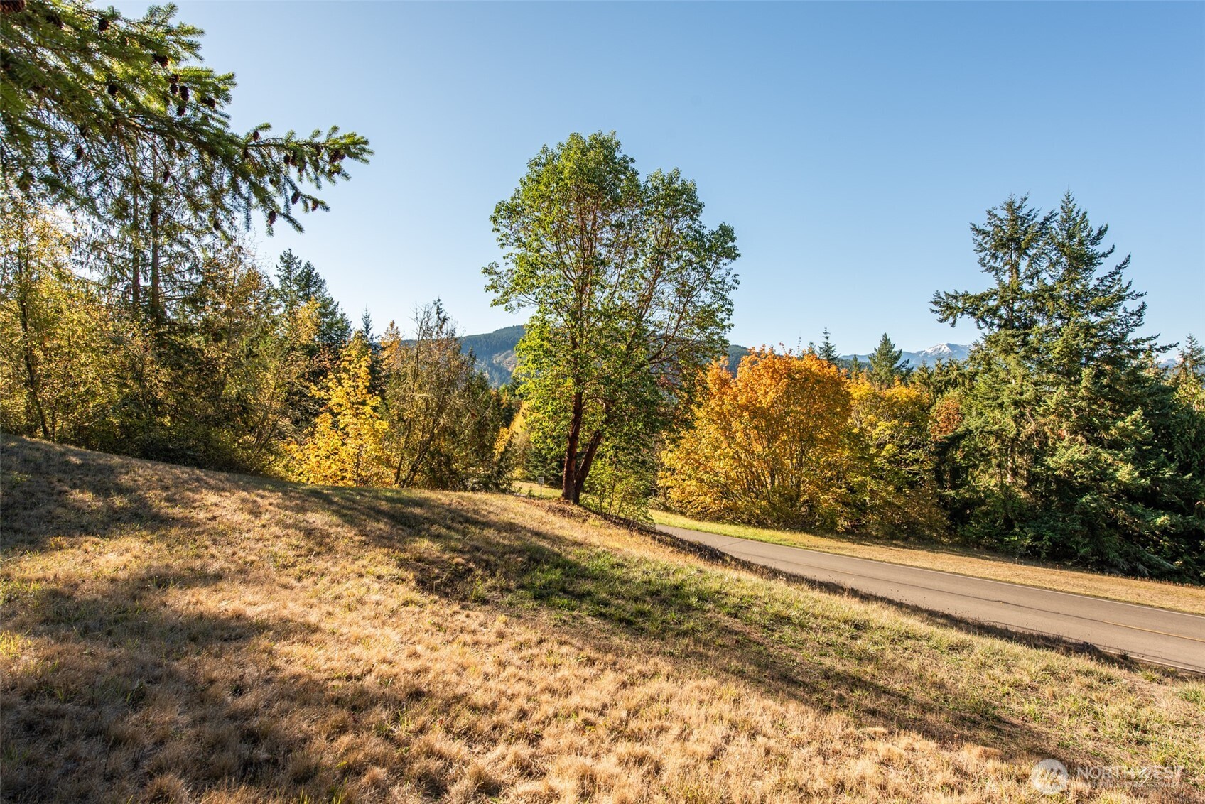 1051 Fox Hollow Road Sequim, WA 98382 - Photo 36 of 39 a view of a yard with mountain