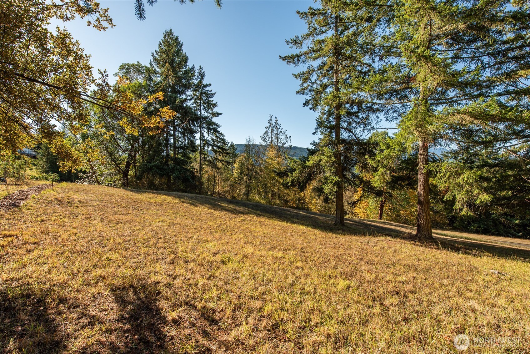 1051 Fox Hollow Road Sequim, WA 98382 - Photo 38 of 40 a view of yard