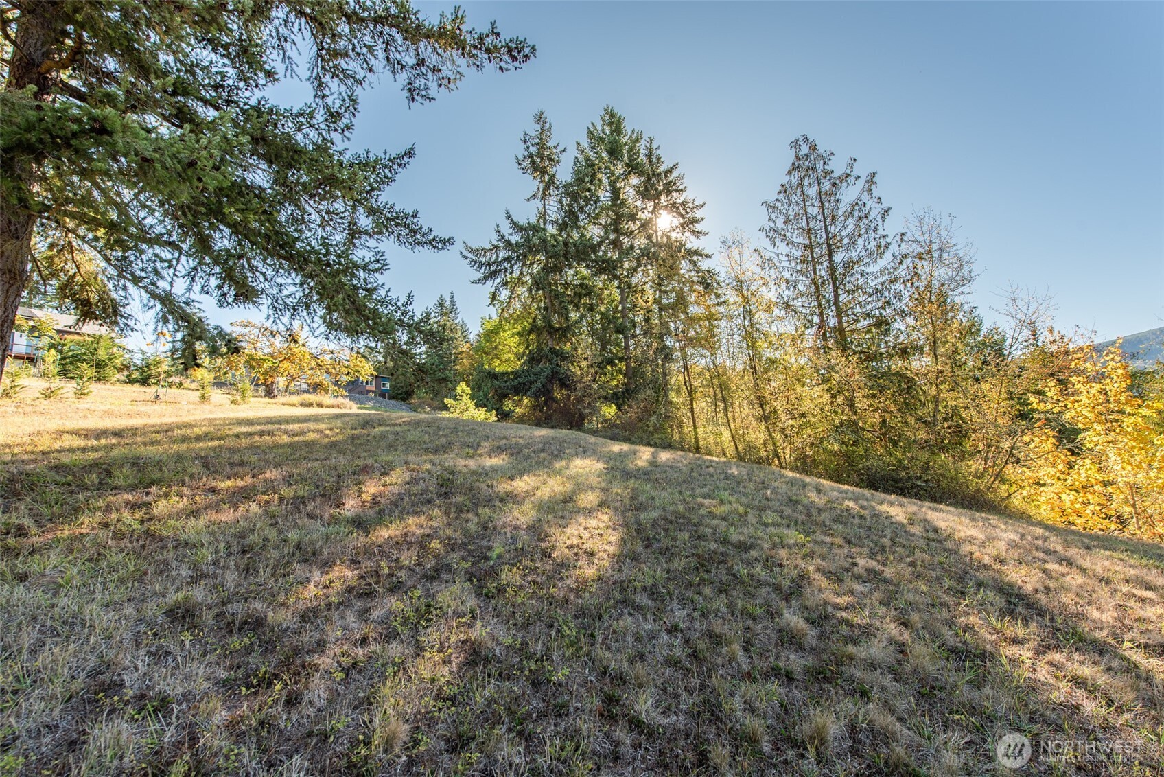 1051 Fox Hollow Road Sequim, WA 98382 - Photo 4 of 40 a view of dirt yard with large trees