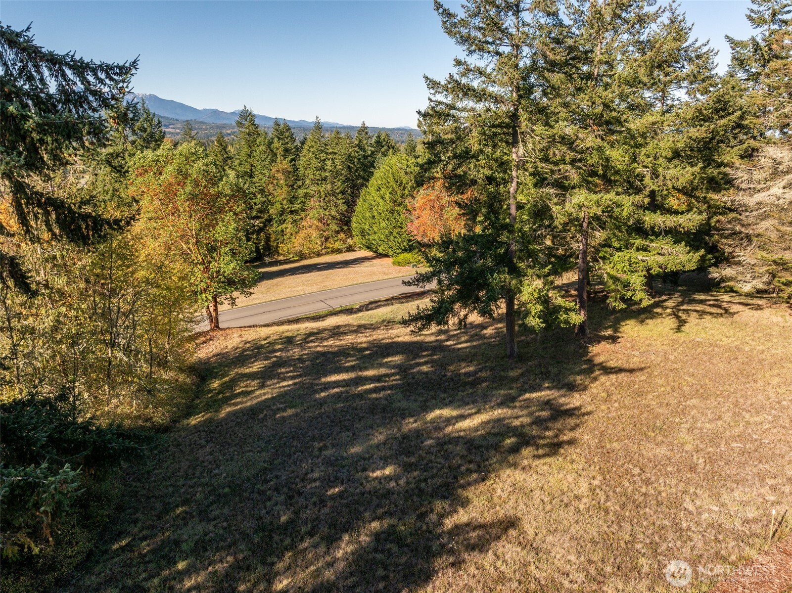 1051 Fox Hollow Road Sequim, WA 98382 - Photo 6 of 39