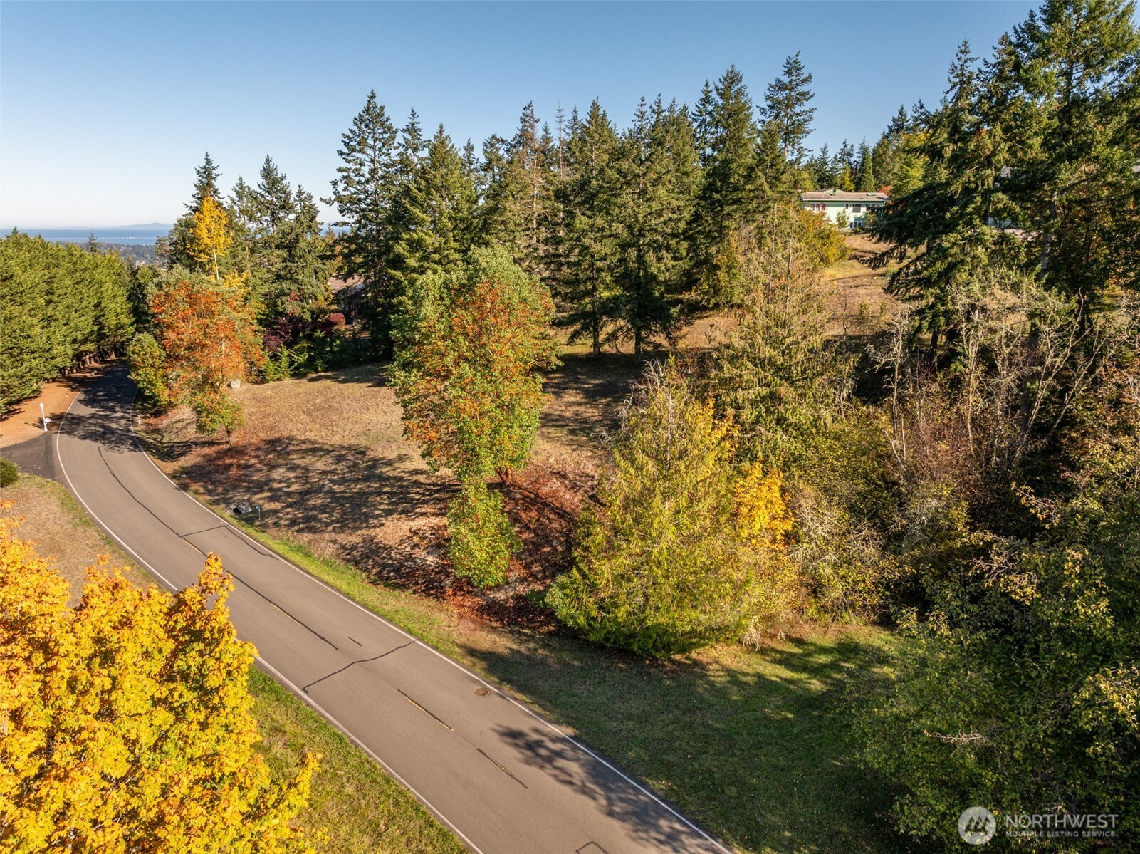 1051 Fox Hollow Road Sequim, WA 98382 - Photo 8 of 39 a view of a yard