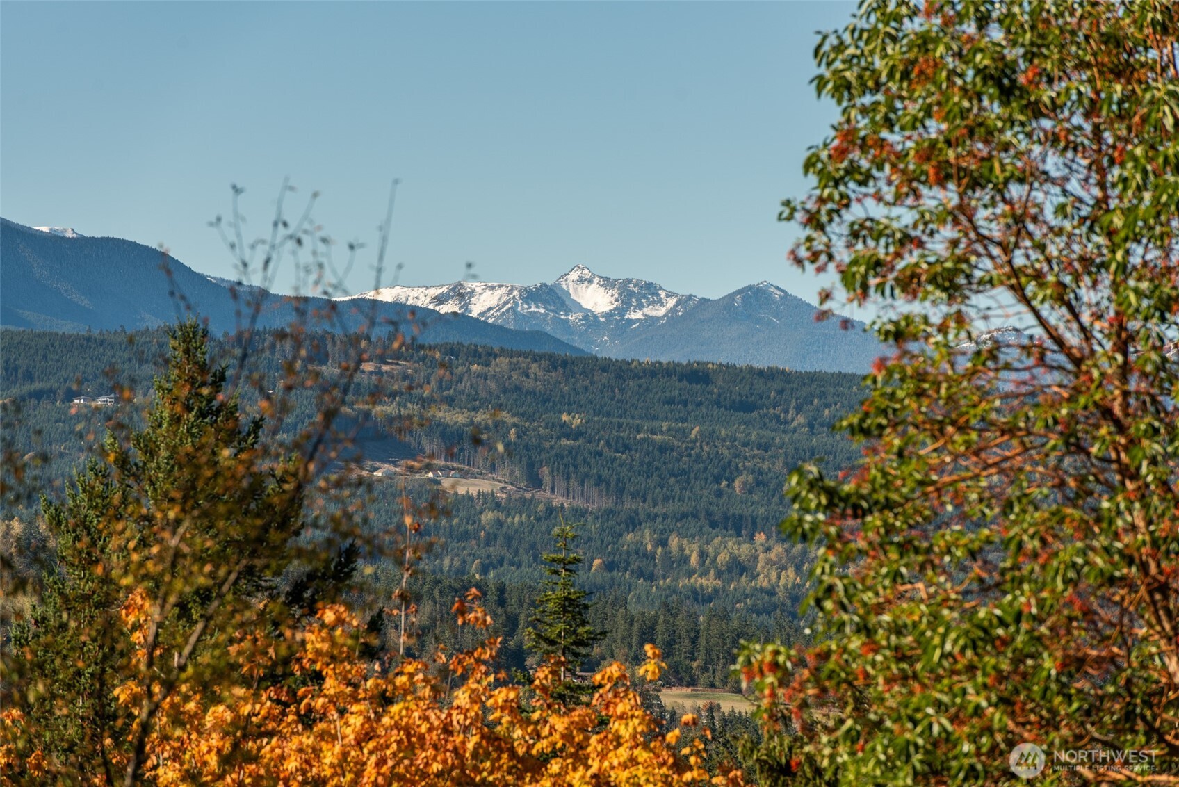 1051 Fox Hollow Road Sequim, WA 98382 - Photo 8 of 40 a building view with a tree