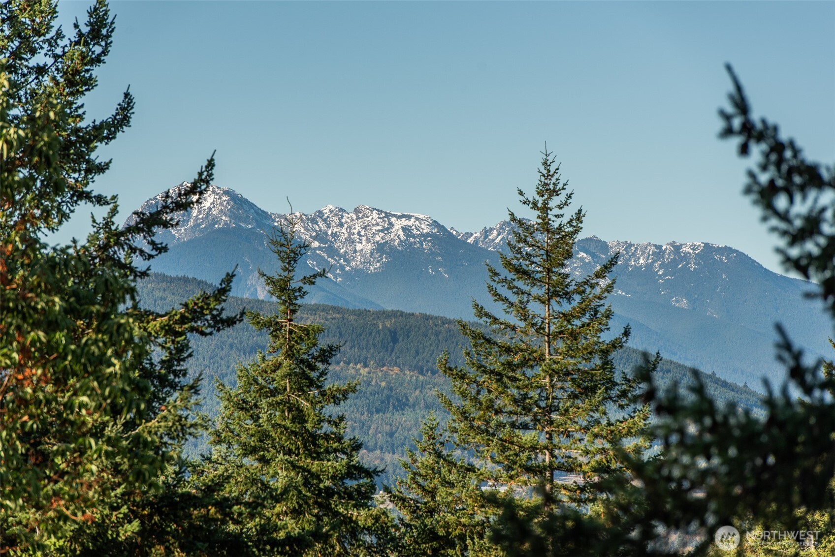1051 Fox Hollow Road Sequim, WA 98382 - Photo 9 of 40 an aerial view of a house with a yard and trees all around