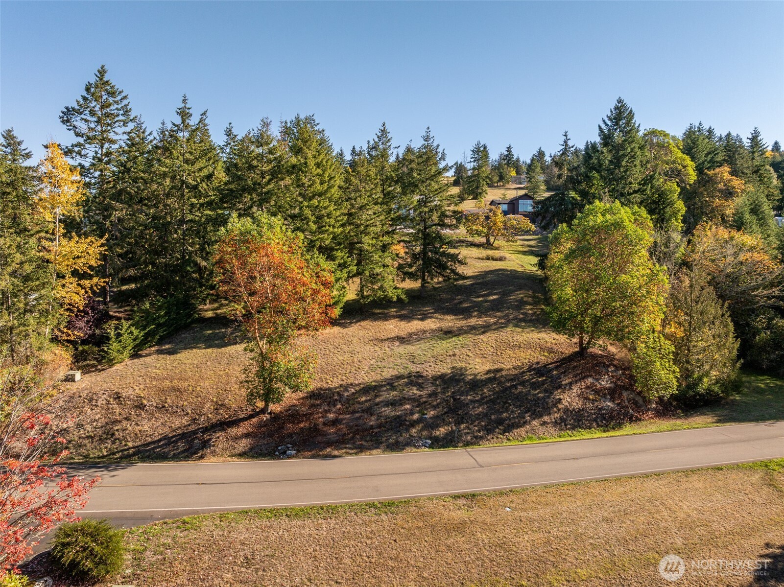 1051 Fox Hollow Road Sequim, WA 98382 - Photo 10 of 39 a view of a yard with trees