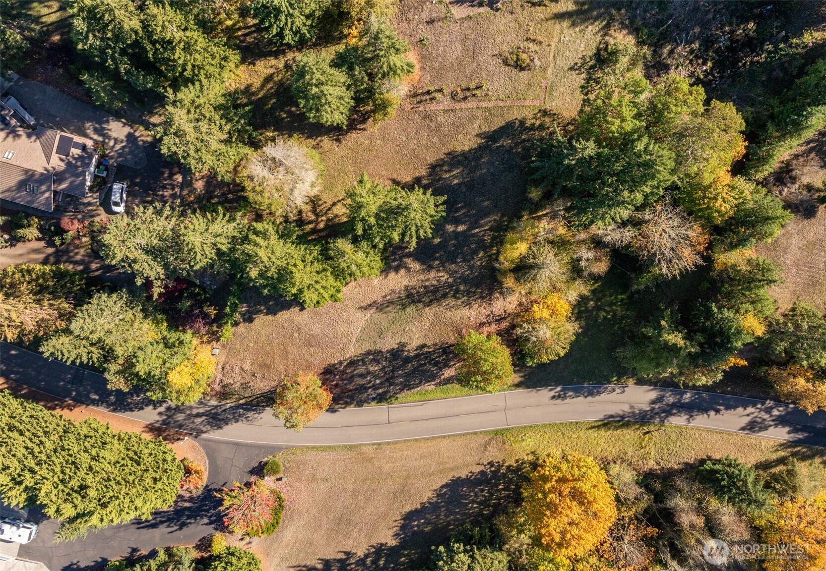 1051 Fox Hollow Road Sequim, WA 98382 - Photo 10 of 40 a view of a tree with a yard