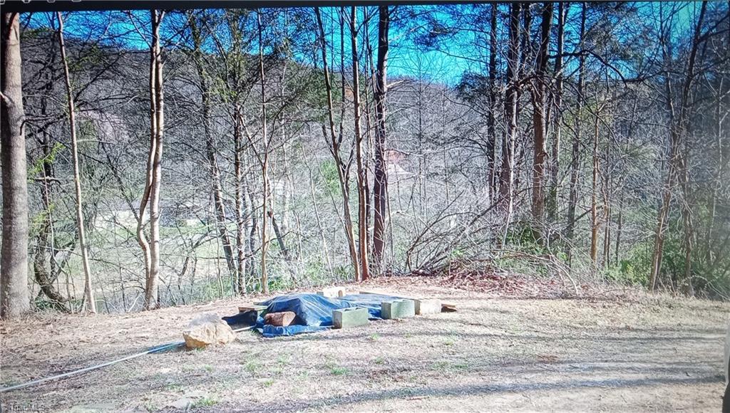 2238 Longbottom Road Hays, NC 28635 - Photo 19 of 22