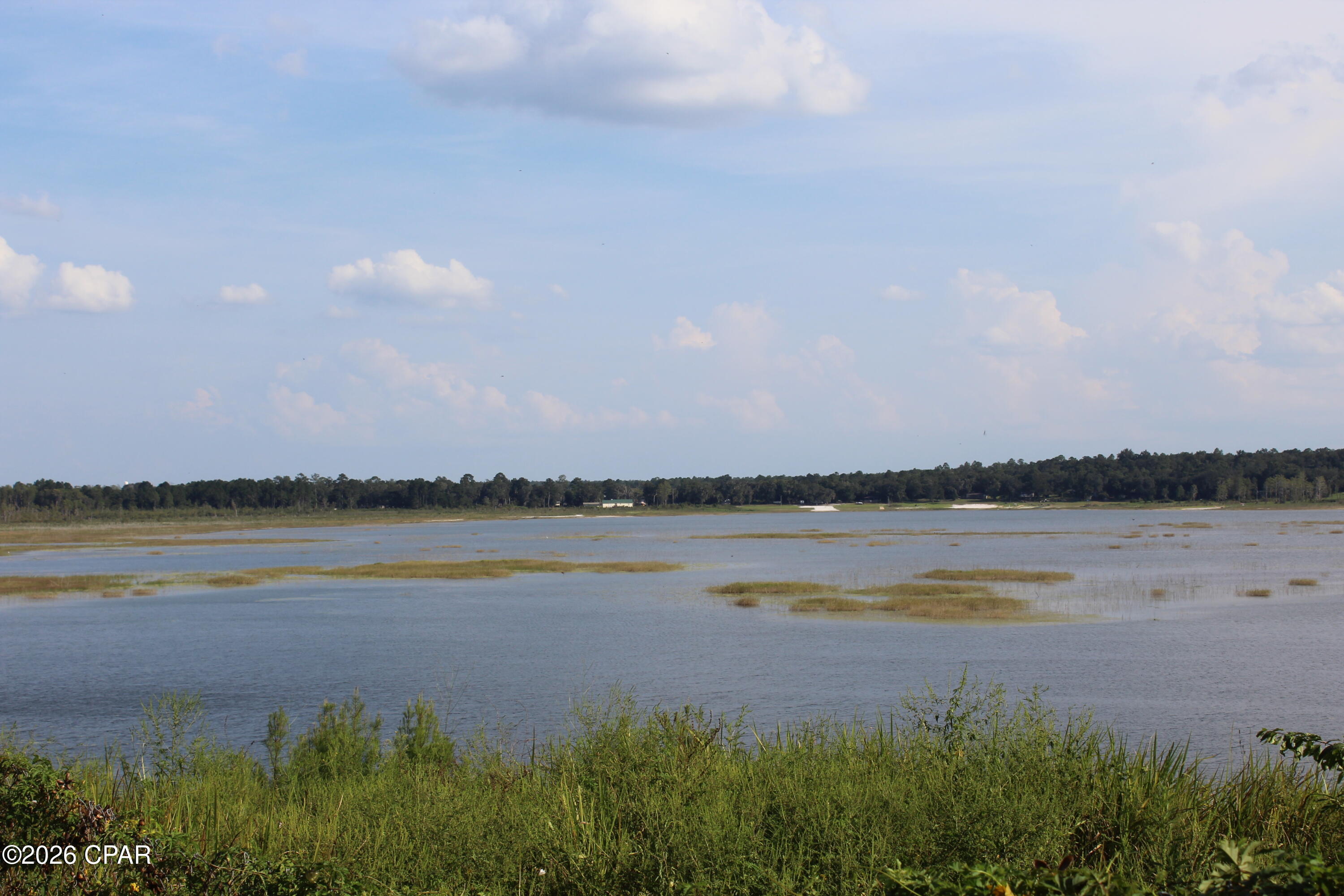 Tbd New Jerusalem Road Vernon, FL 32462 - Photo 14 of 21 Gallery Image 14
