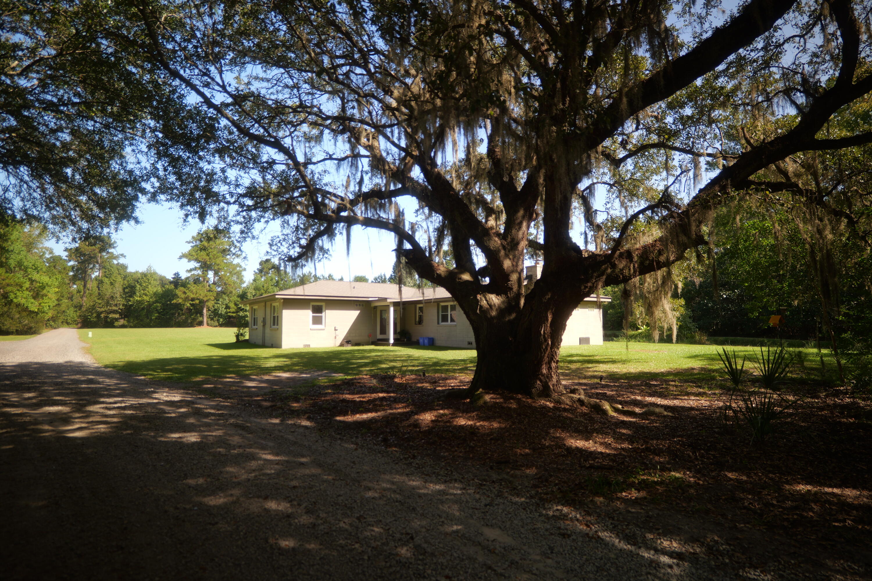 3033 State Rd S-10-1632 Johns Island, SC 29455 - Photo 28 of 38 4d-oak-tree