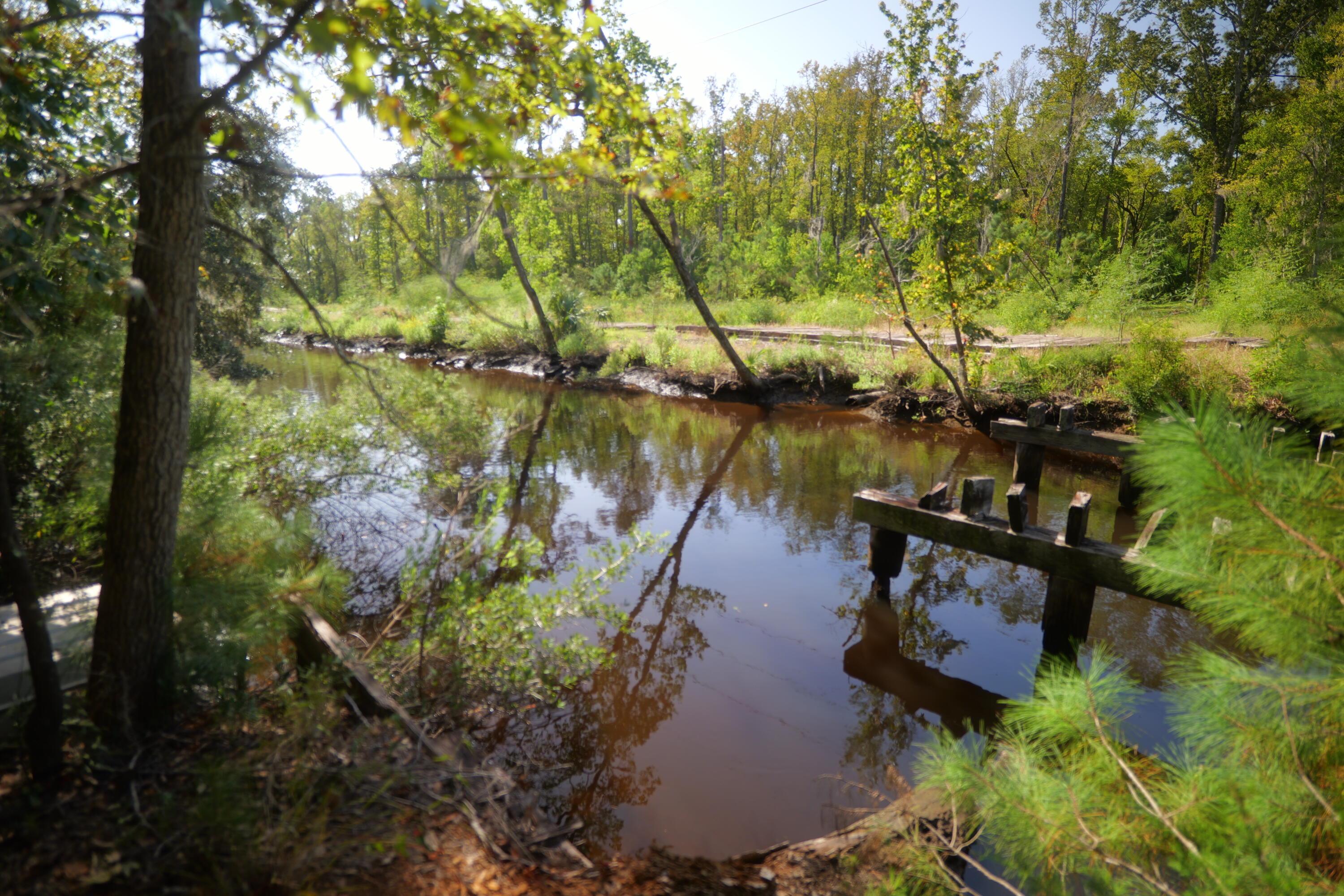 3033 State Rd S-10-1632 Johns Island, SC 29455 - Photo 34 of 38 12-creek
