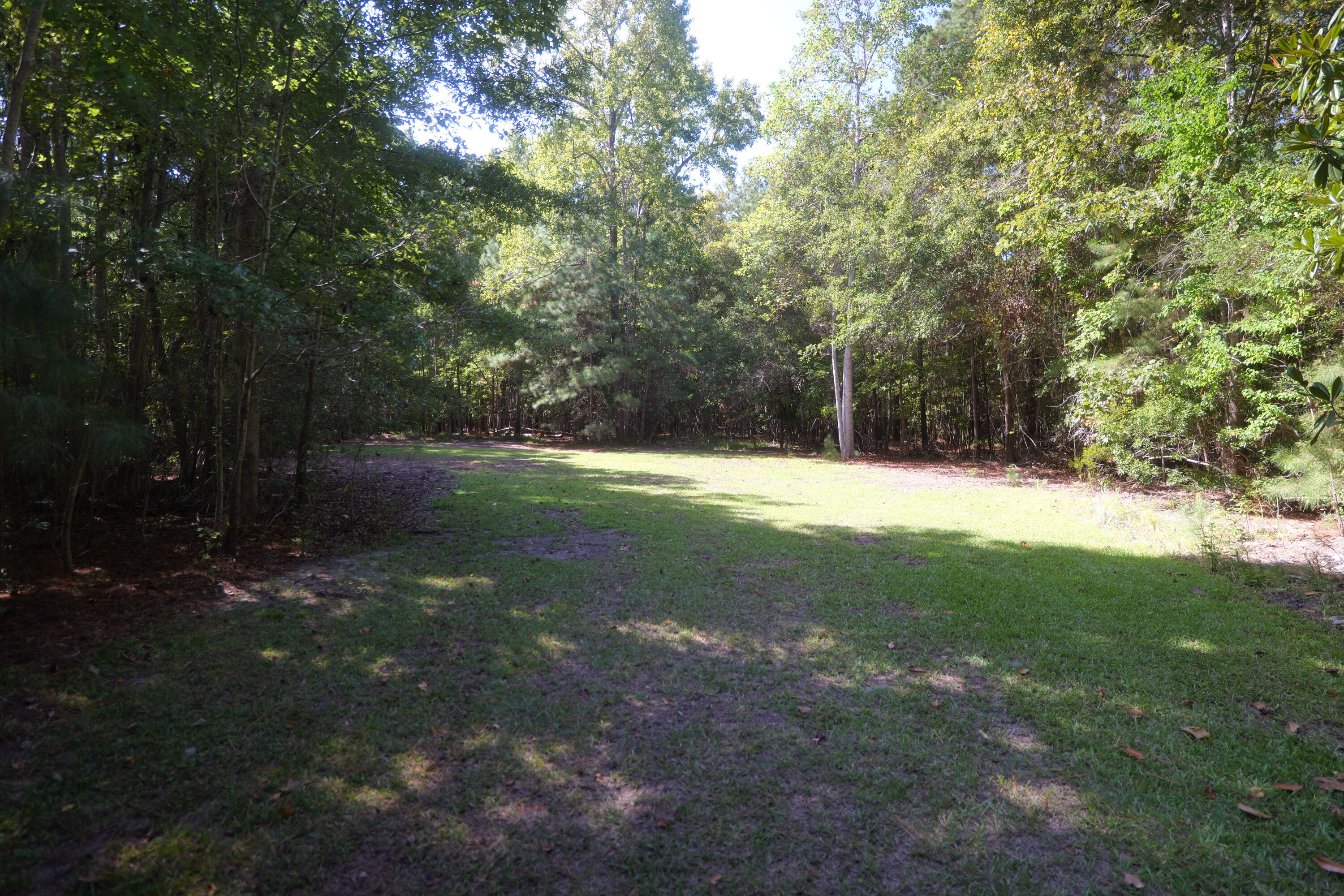 3033 State Rd S-10-1632 Johns Island, SC 29455 - Photo 35 of 38 14a-clearing