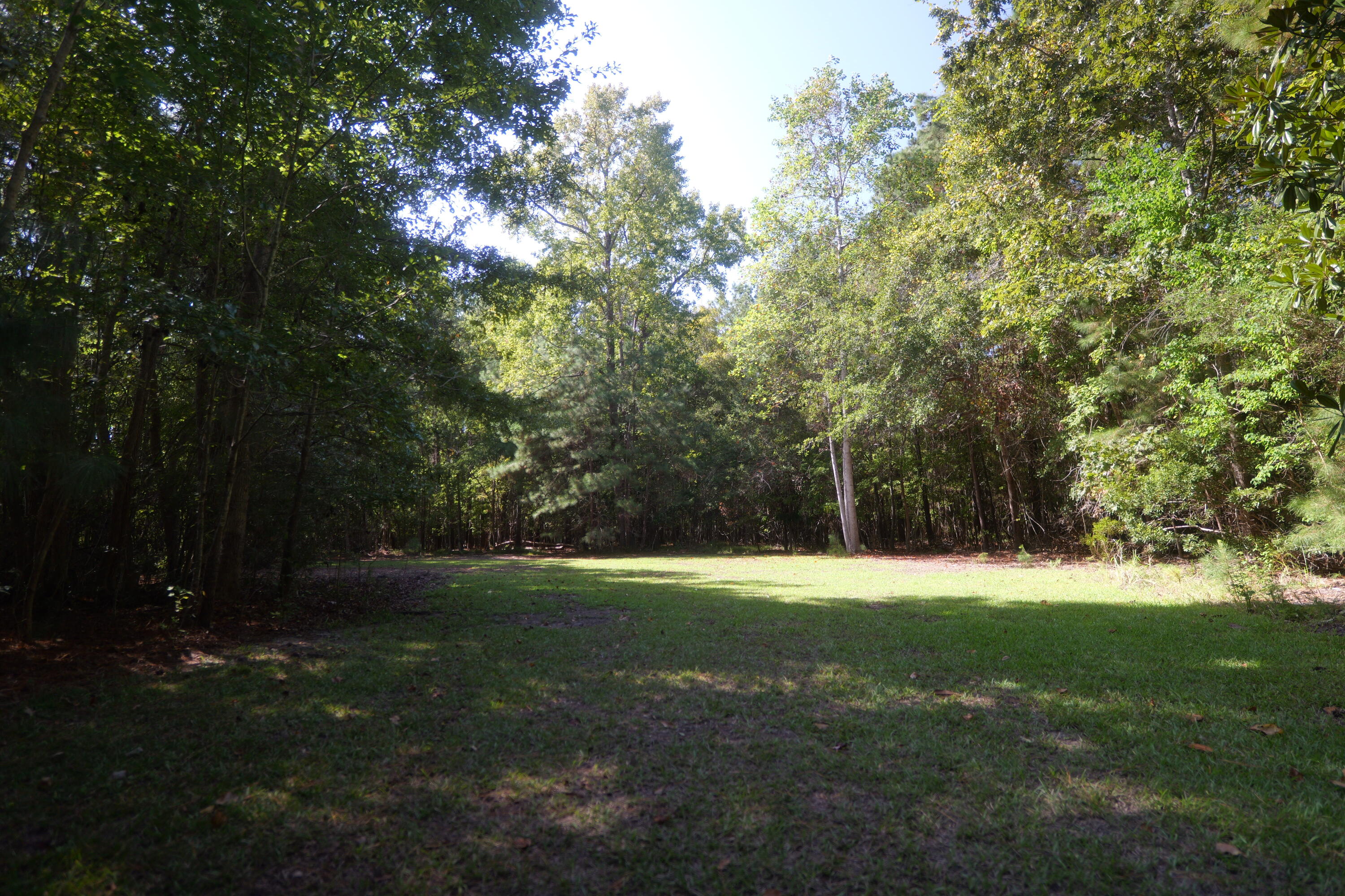 3033 State Rd S-10-1632 Johns Island, SC 29455 - Photo 36 of 38 14b-clearing