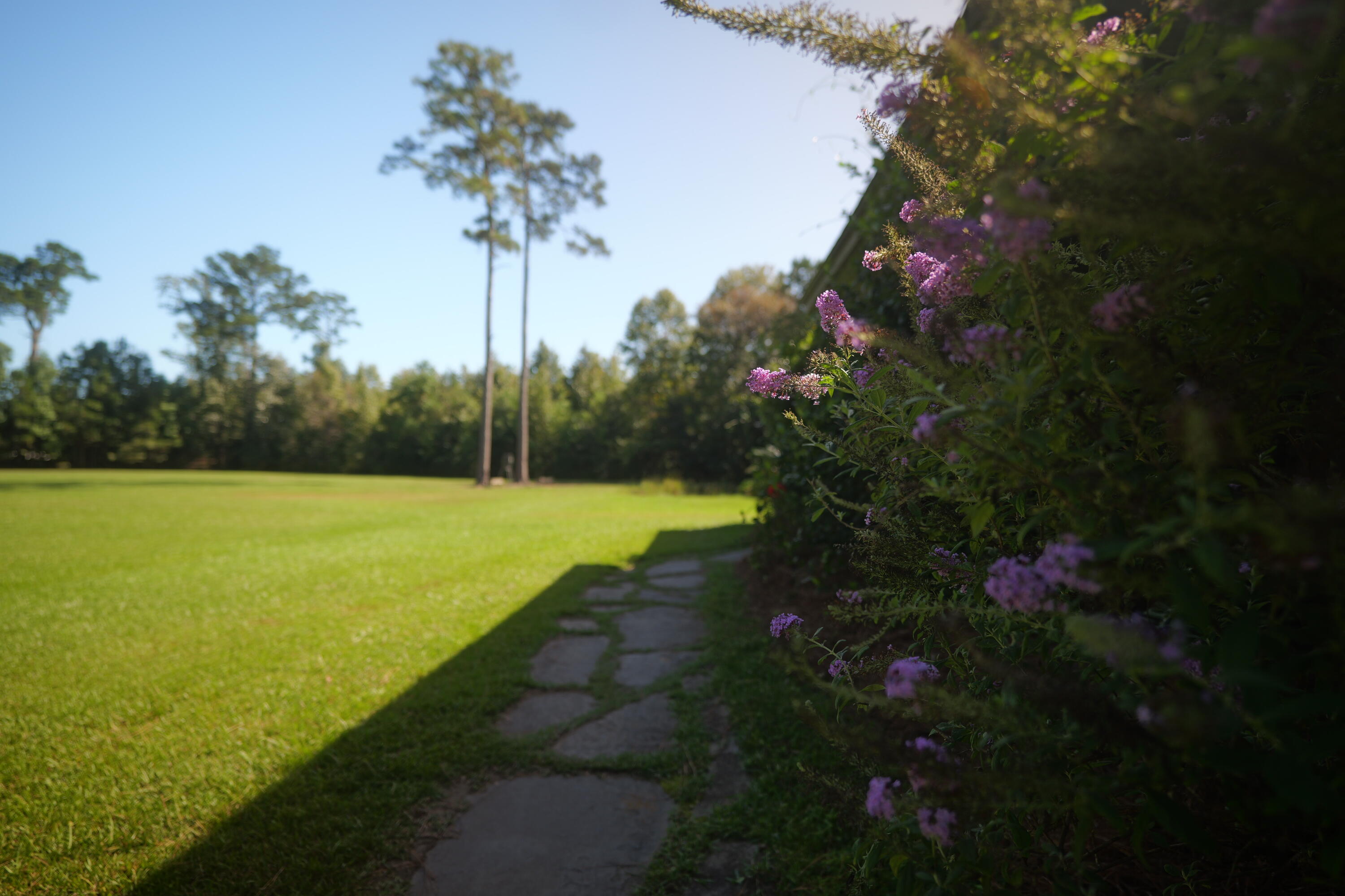 3033 State Rd S-10-1632 Johns Island, SC 29455 - Photo 37 of 38 13-flowers