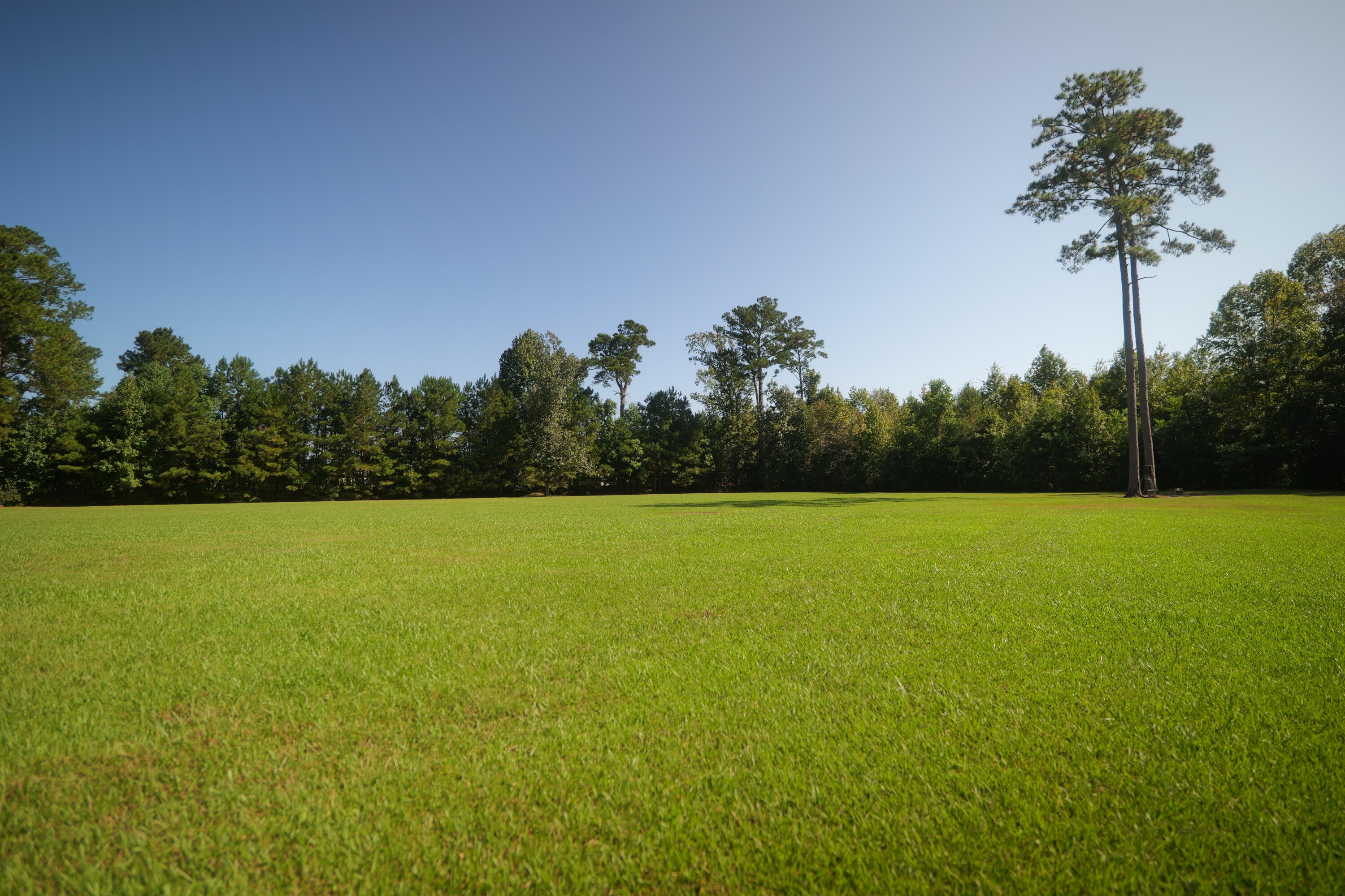 3033 State Rd S-10-1632 Johns Island, SC 29455 - Photo 5 of 38 2a-front-trees